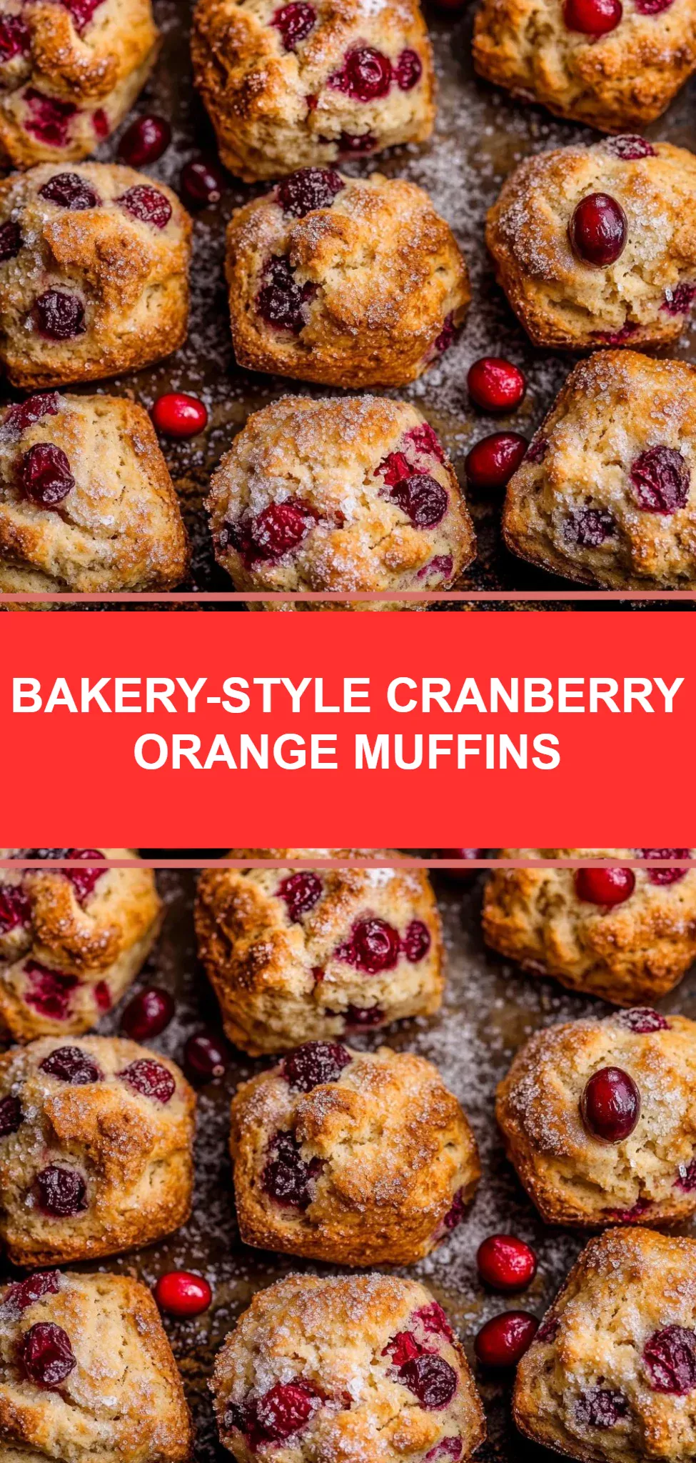 Bakery-Style Cranberry Orange Muffins