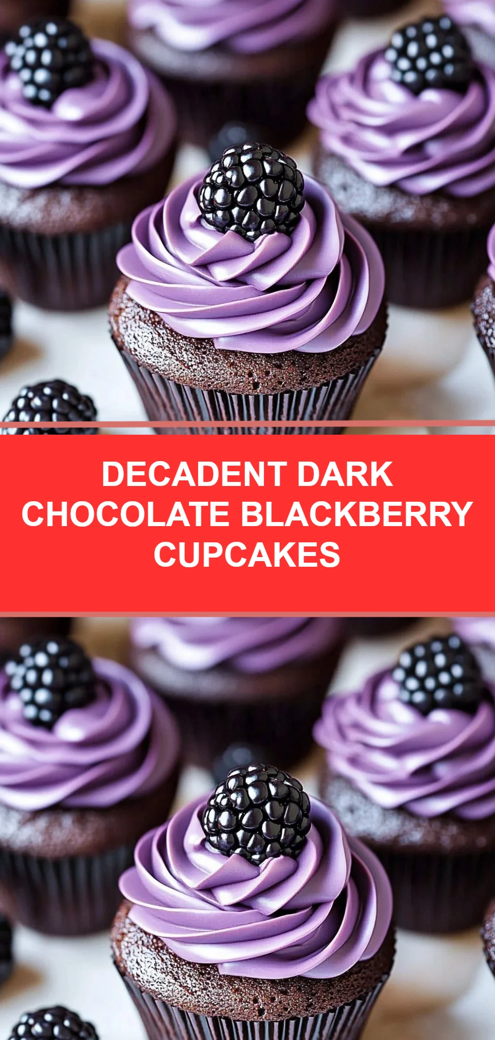 Decadent Dark Chocolate Blackberry Cupcakes