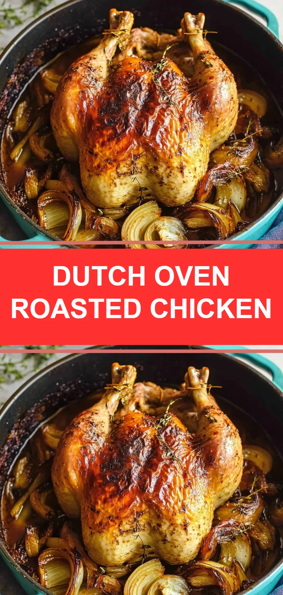 Dutch Oven Roasted Chicken