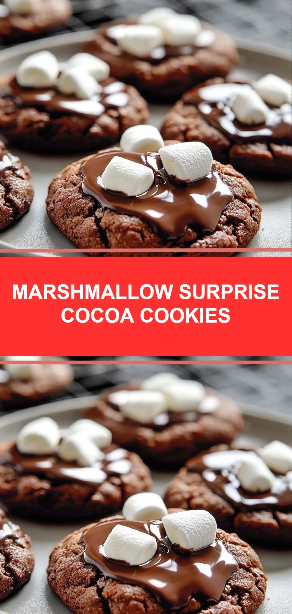 Marshmallow Surprise Cocoa Cookies