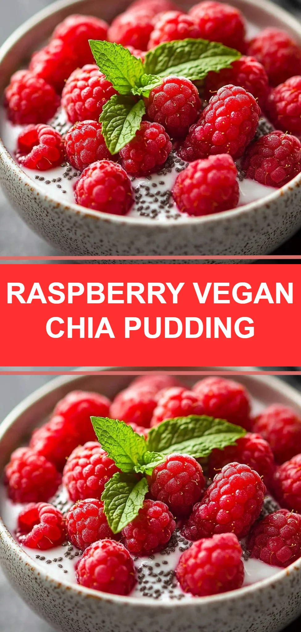 Raspberry Vegan Chia Pudding